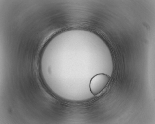 X0000114240444200910091352