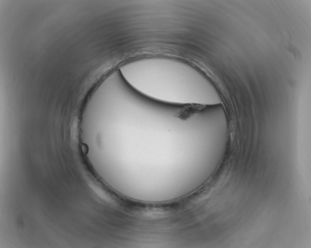 X0000114240445200910091352