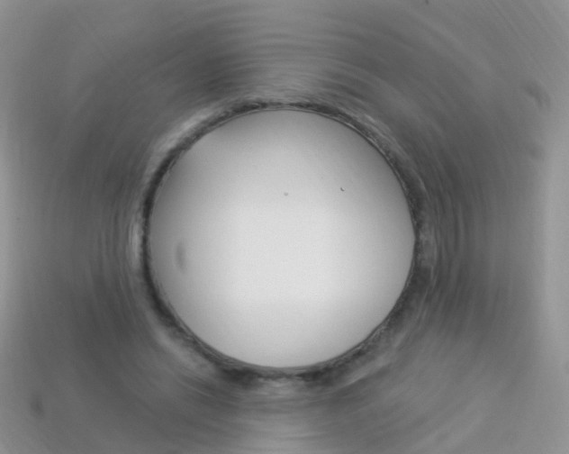 X0000114240446200910091352