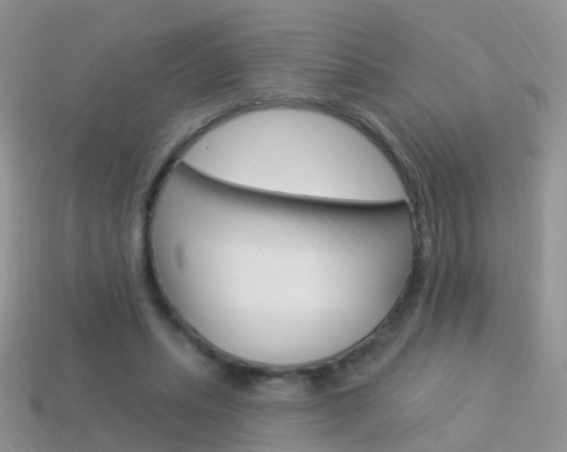 X0000114240447200910091352