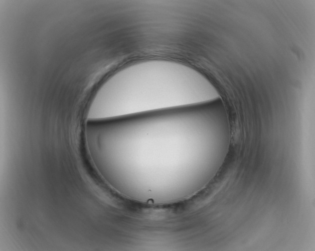 X0000114240448200910091352