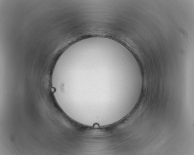 X0000114240449200910091352