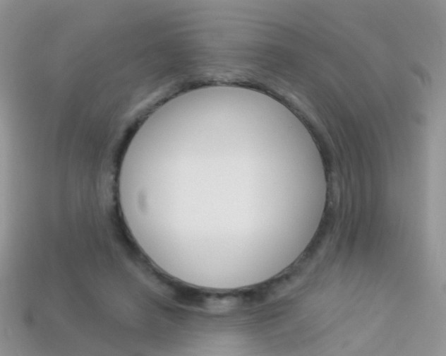 X0000114240450200910091352