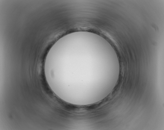 X0000114240451200910091352