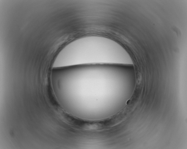 X0000114240452200910091352