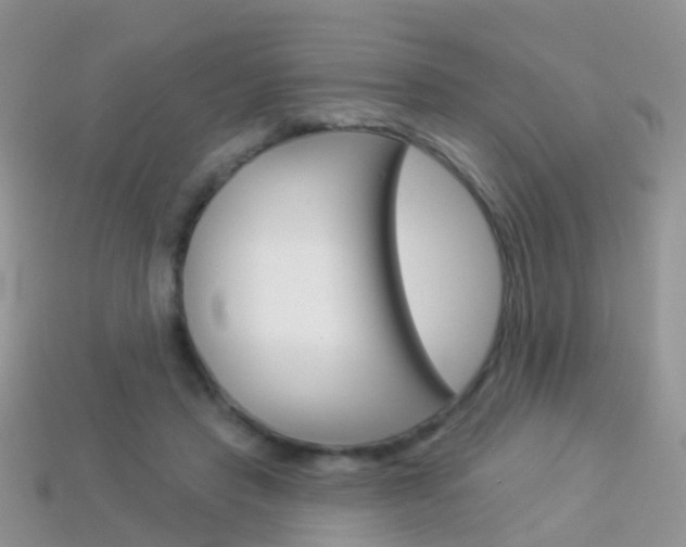 X0000114240453200910091352