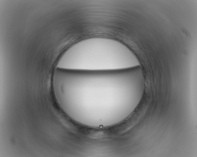 X0000114240454200910091352