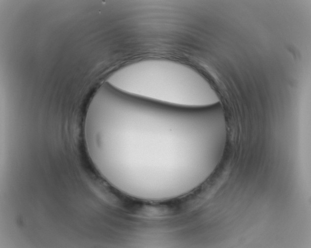 X0000114240455200910091352