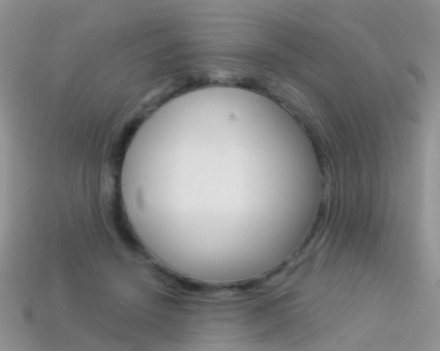 X0000114240456200910091352