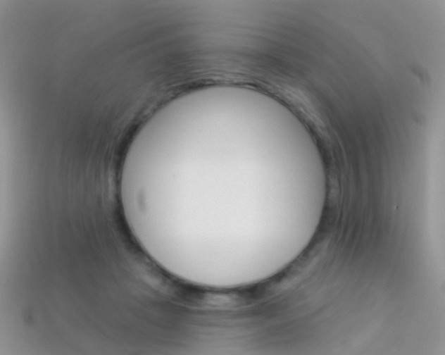 X0000114240457200910091352