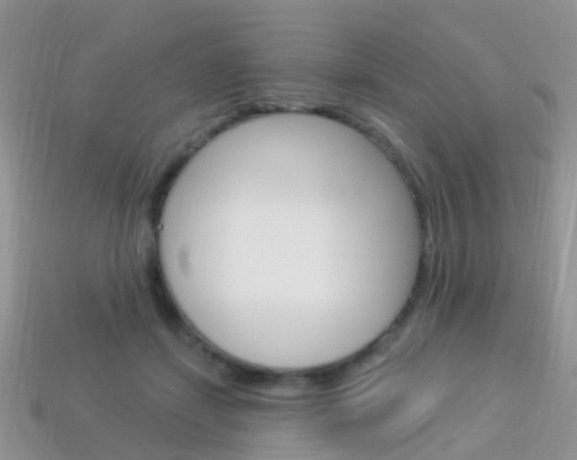 X0000114240459200910091352