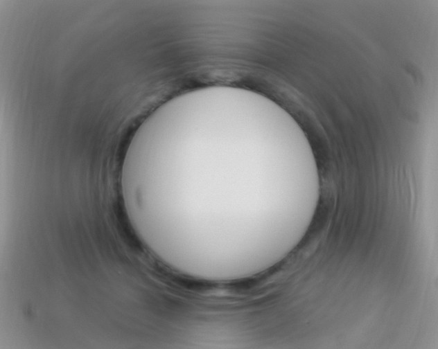 X0000114240460200910091352