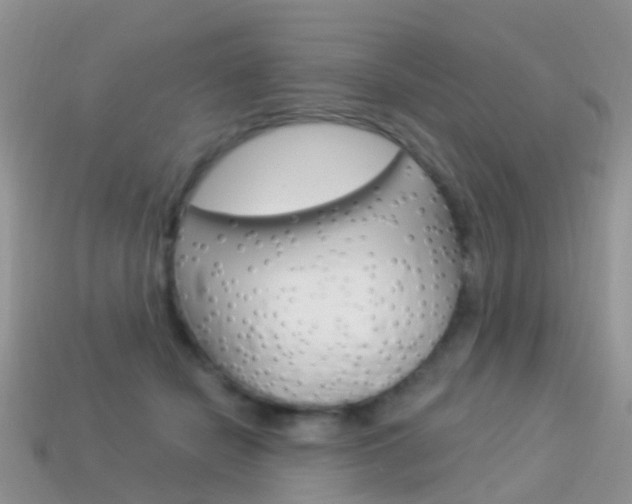 X0000114240462200910091352