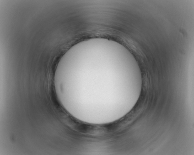 X0000114240463200910091352