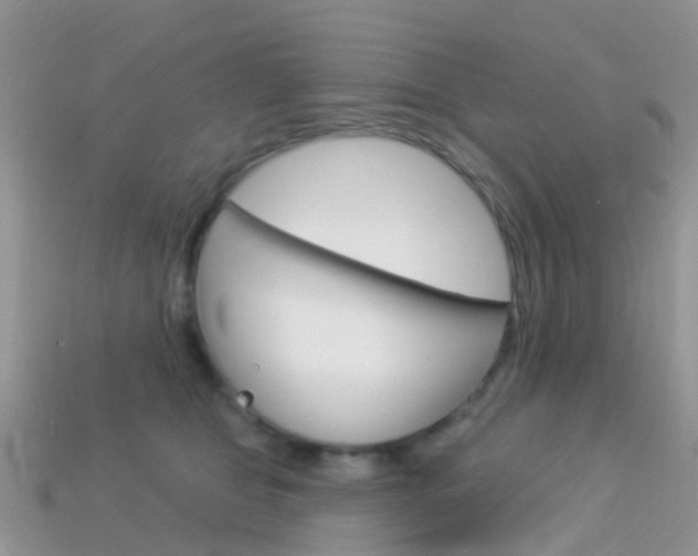X0000114240469200910091352
