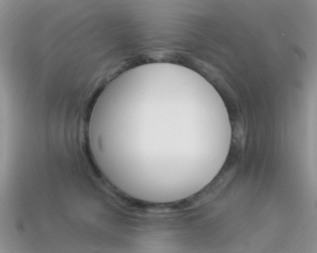 X0000114240470200910091352