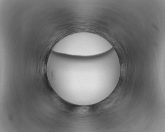 X0000114240474200910091352