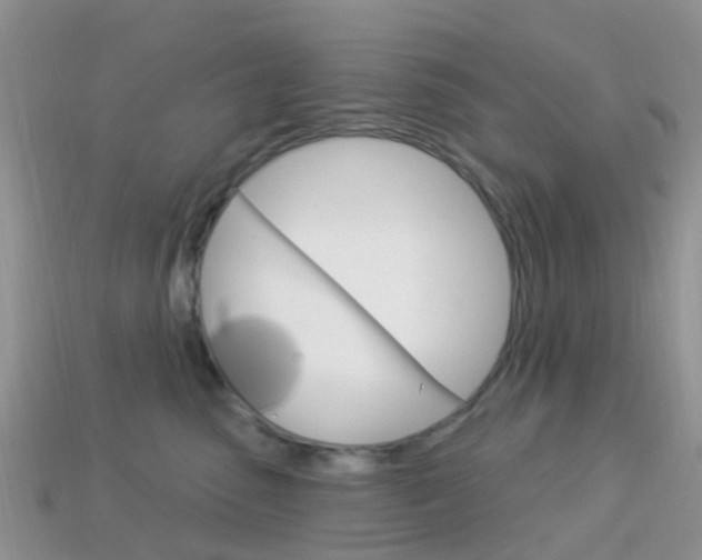 X0000114240475200910091352
