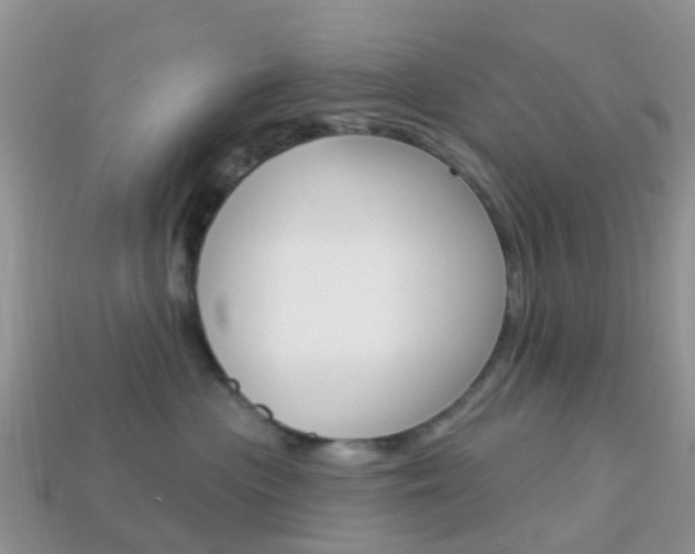 X0000114240477200910091352