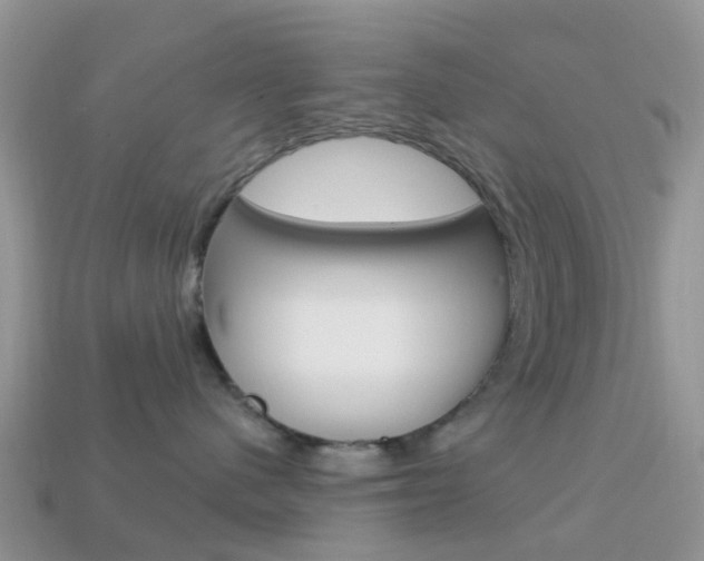 X0000114240480200910091352