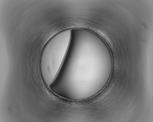 X0000114240481200910091352