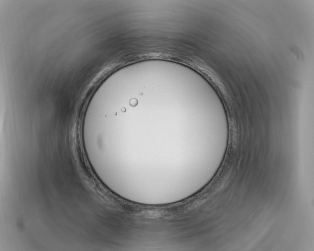 X0000114240482200910091352