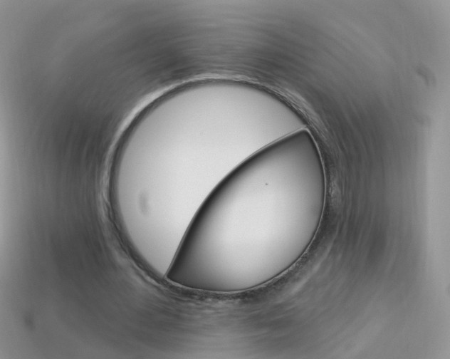 X0000114240484200910091352