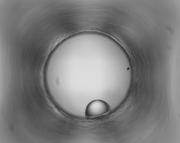 X0000114240485200910091352