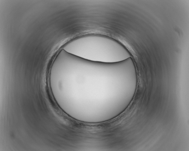 X0000114240486200910091352