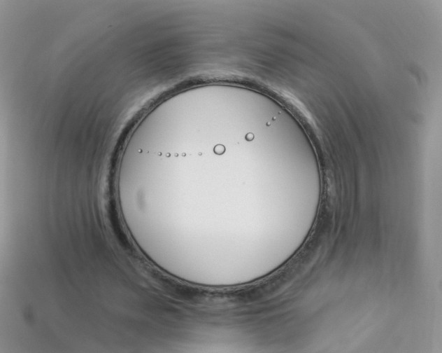 X0000114240487200910091352
