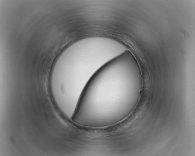 X0000114240489200910091352