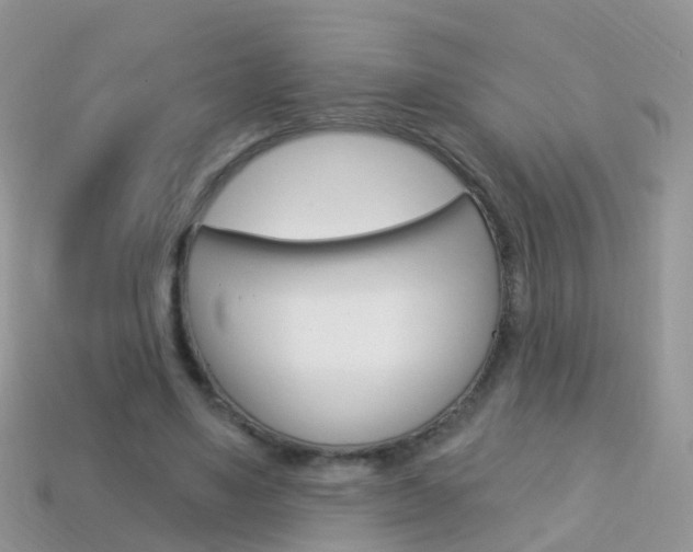 X0000114240491200910091352