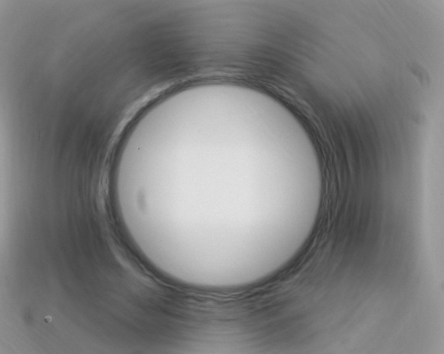 X0000114240492200910091352