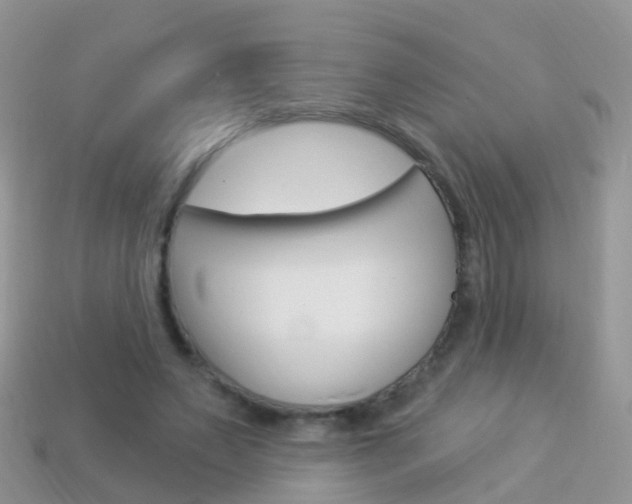 X0000114240495200910091352