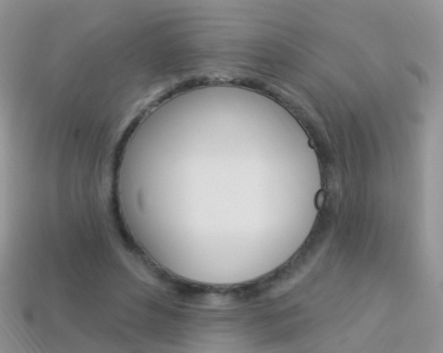 X0000114240496200910091352