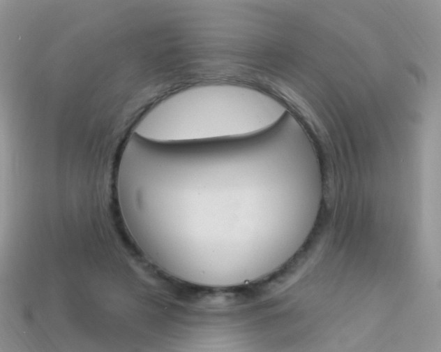 X0000114240497200910091352