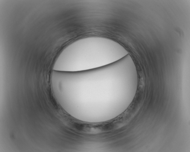 X0000114240498200910091352