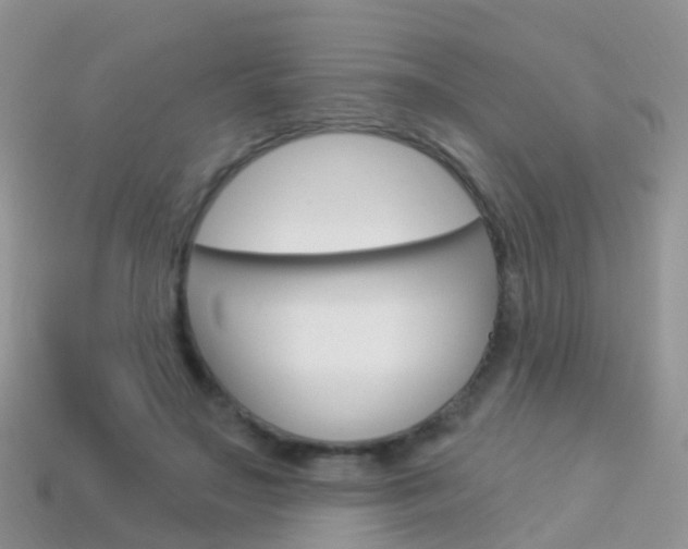 X0000114240499200910091352