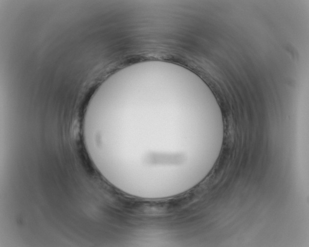 X0000114240502200910091351