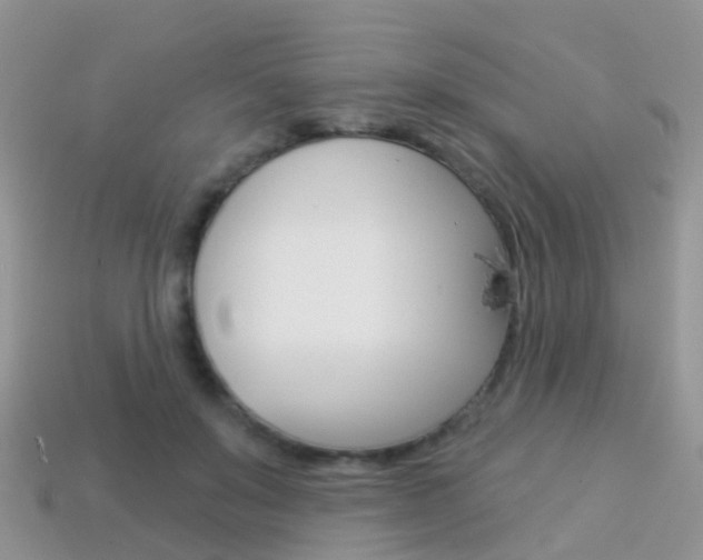X0000114240503200910091351