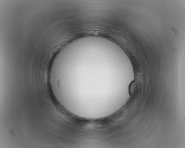 X0000114240504200910091351