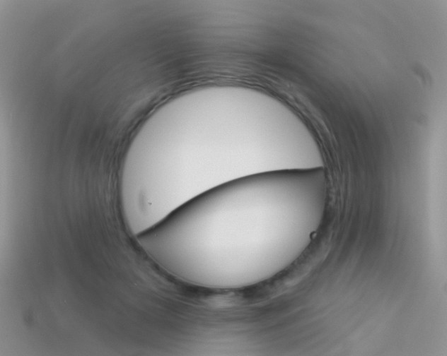 X0000114240505200910091351