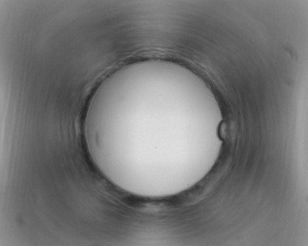 X0000114240508200910091351