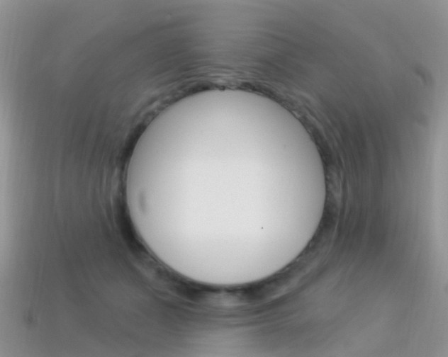 X0000114240511200910091351