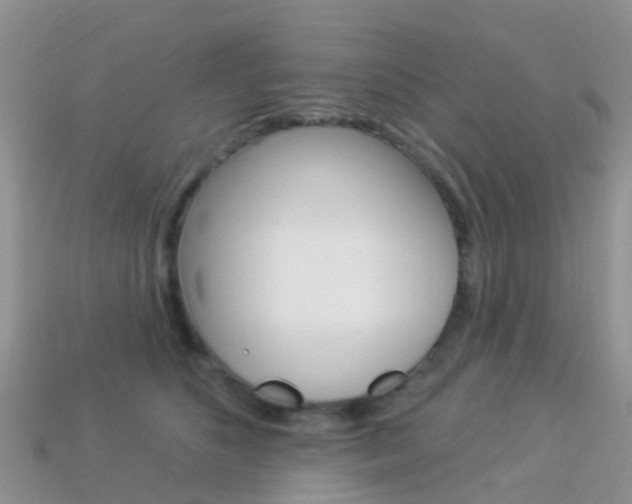 X0000114240516200910091351