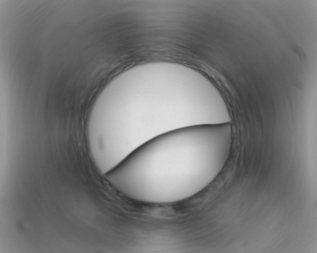 X0000114240517200910091351