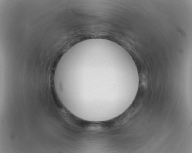 X0000114240519200910091351