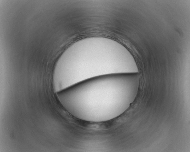 X0000114240521200910091351