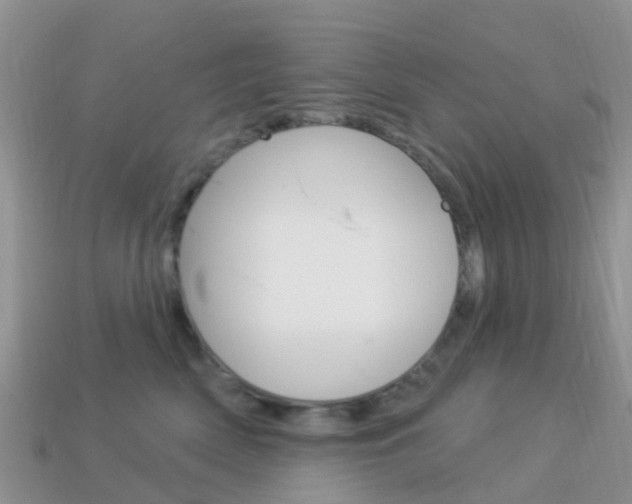 X0000114240522200910091351