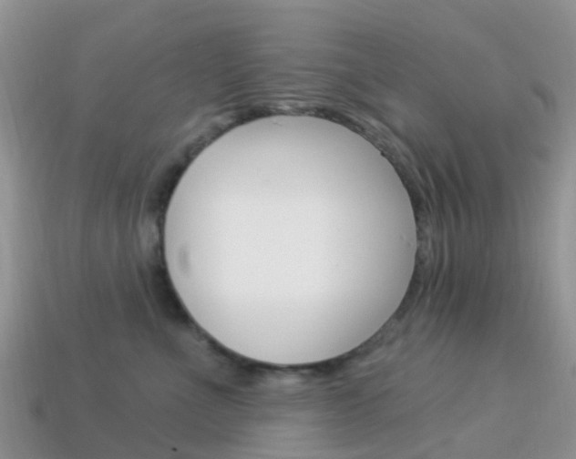 X0000114240523200910091351